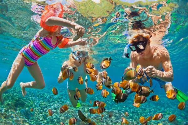 mum, dad and child in arm bands all snorkelling with colourful tropical fish, view from underwater