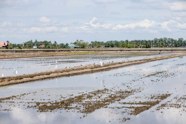 Adopt modern farming to boost income, Katibas assemblyman tells farmers in Song