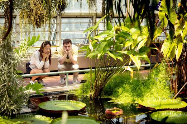 A couple looks at the aquatic plants inside a Conservatory that would be affected by the shadow of a high-rise building. A developer plans to build a high-story building on Franklin Ave. that would have its shadow land on the Brooklyn Botanical Garden's nurseries, affecting the plant's growth.